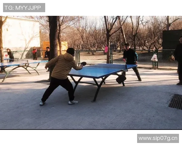 深圳乒乓球队的耐力训练与比赛表现探讨聚焦乒乓球运动的未来发展